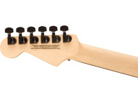 Charvel Charvel